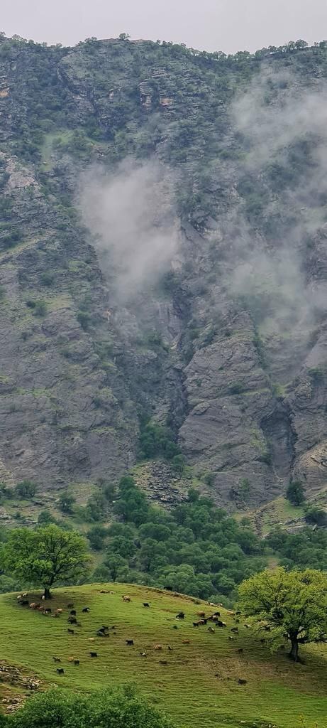 تصویری رویایی از زاگرسِ شکوهمند