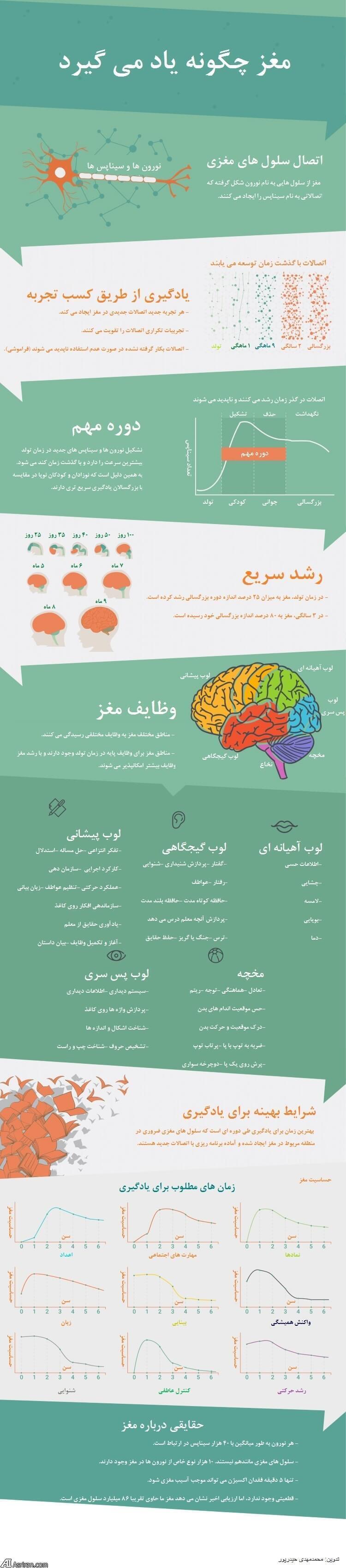مغز کودک تا ۶ سالگی؛ همه چیز درباره رشد و تکامل ذهنی
