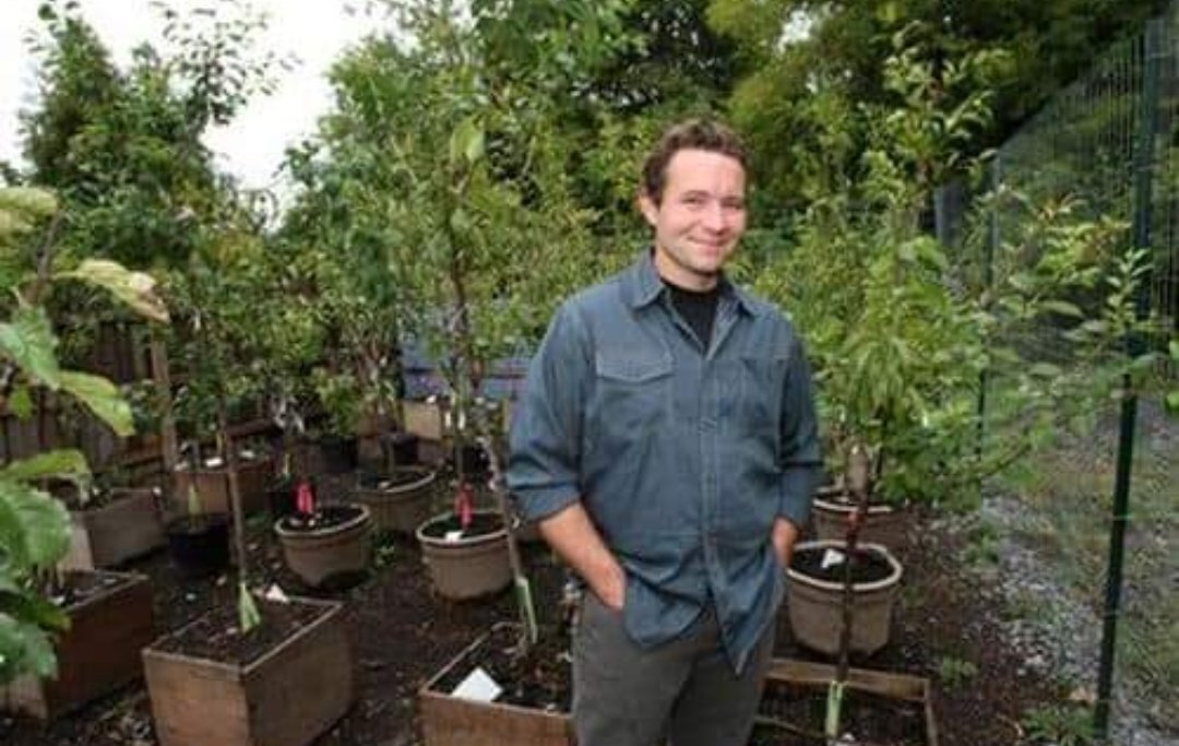 (تصاویر) باورنکردنی؛ تولید درختی که ۴۰ میوه مختلف می‌دهد!