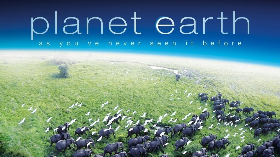 ۱۰ مستند برتر تاریخ در مورد حیات وحش و طبیعت؛ از The Blue Planet تا Our Planet