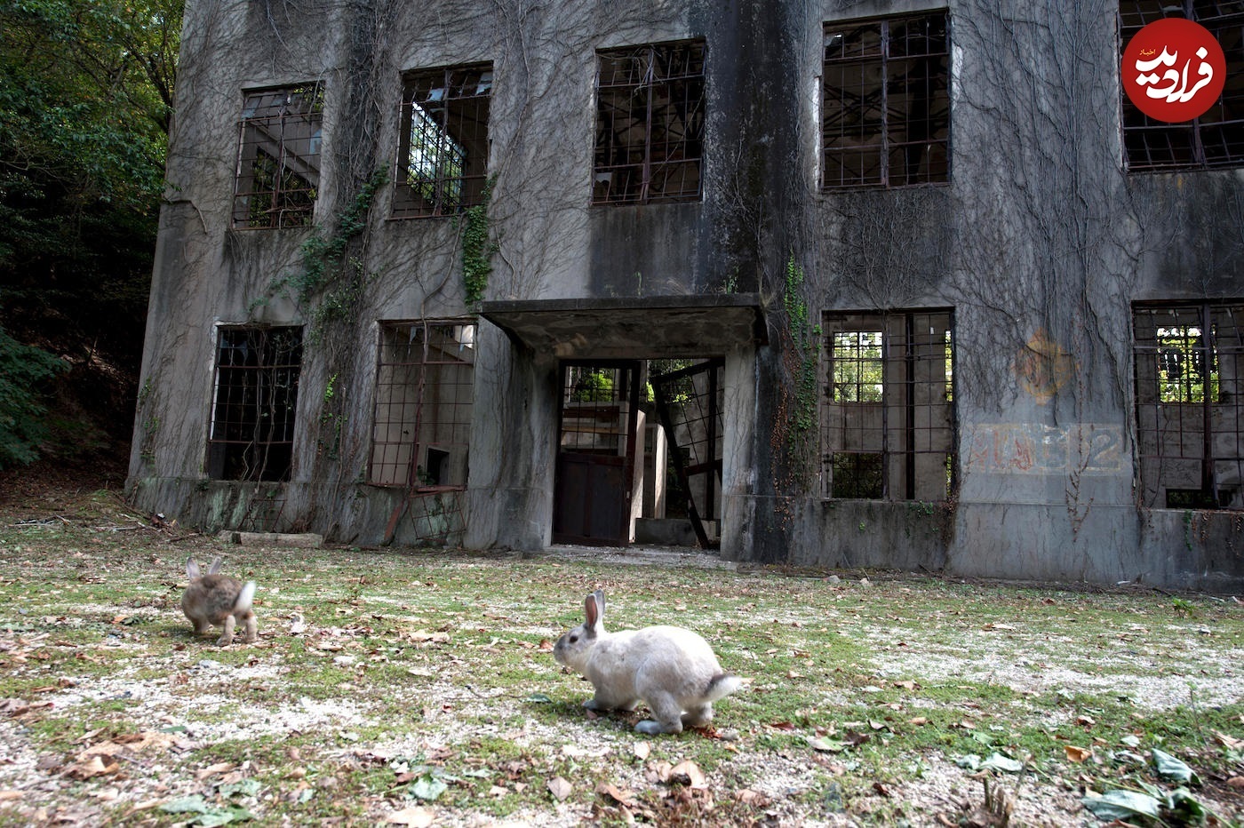 (تصاویر) ۸ شهر متروکه که به تسخیر طبیعت درآمدند