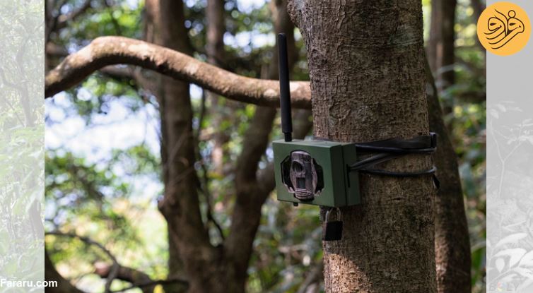 به این لاک پشت های عجیب و غریب نگاه کنید آنان می توانند به زودی منقرض شوند/ لاک پشت های عجیب و غریبی که ممکن است بزودی منقرض شوند/ خطر انقراض در کمین لاک پشت های عجیب و غریب/ خطر انقراض در کمین لاک پشتی با منقاری شبیه عقاب و دمی کرکودیل مانند