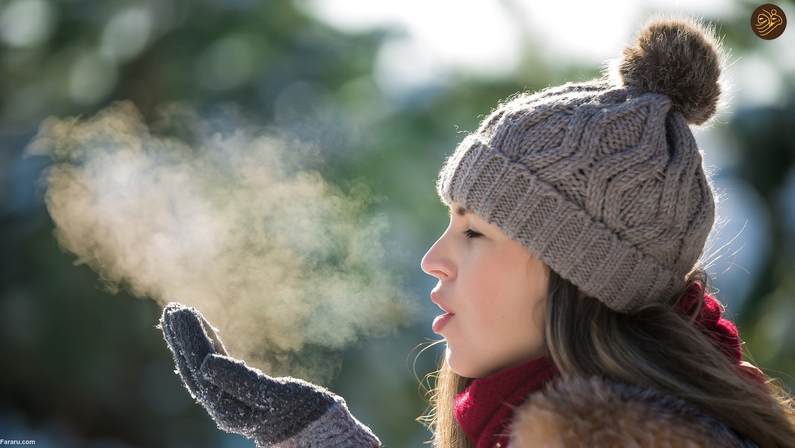 بهترین و بدترین افسانه‌ها و حکمت‌های سلامت /