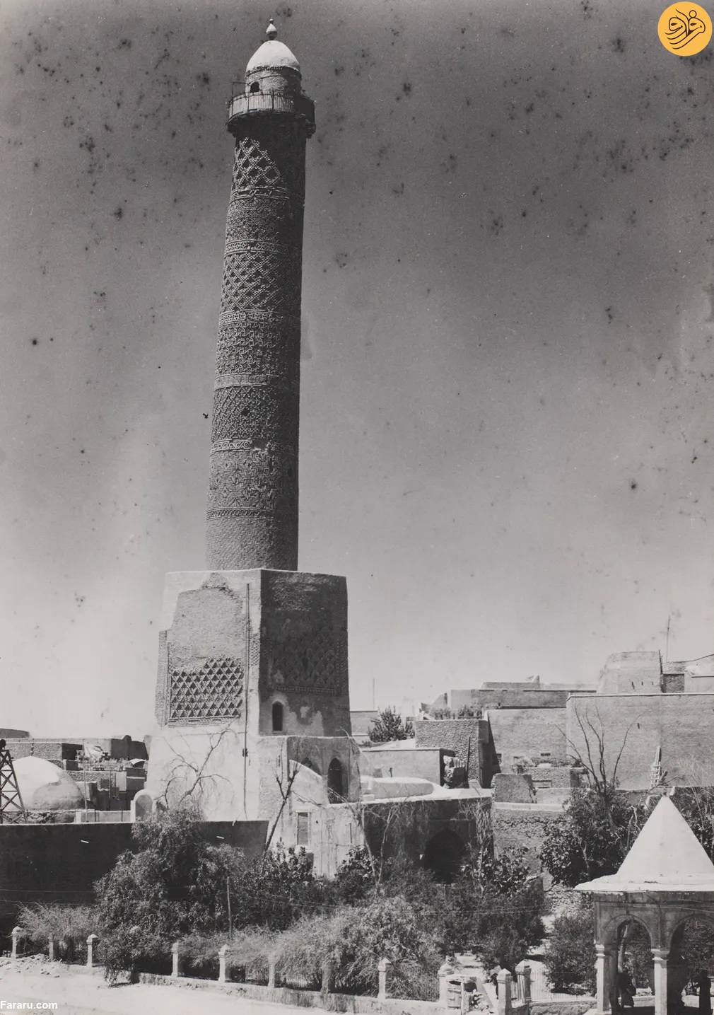 (تصاویر)