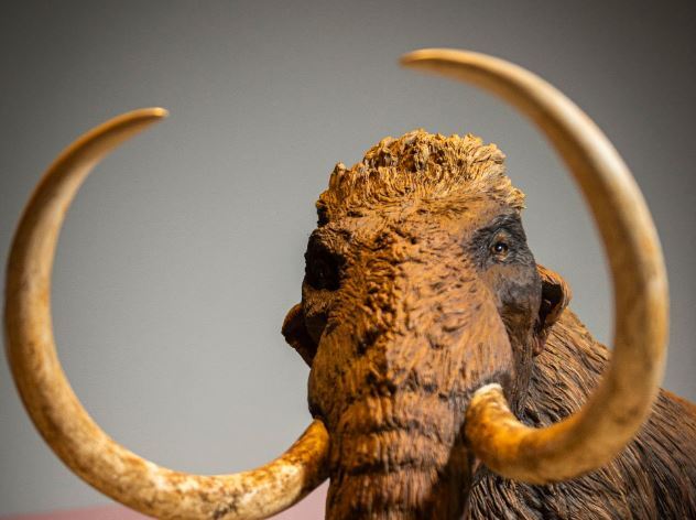 بازگشت ماموت ها: غول های عصر یخبندان دوباره ظاهر می شوند تا هشداری برای آینده باشند