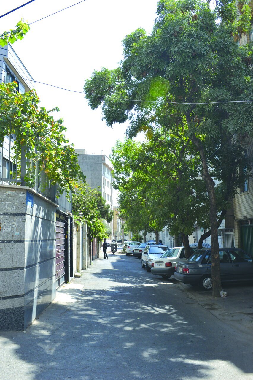 محله مَنگل کجاست؟ / این محله پارک آبی طبیعی داشت/تفرجگاه شاهزادگان در جنوب تهران