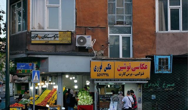 در این نقطه از تهران، سبزترین موجودات جهان بغلتان می‌کنند