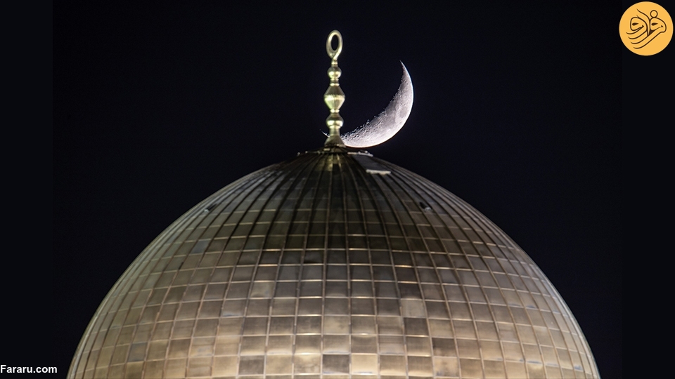 (عکس)