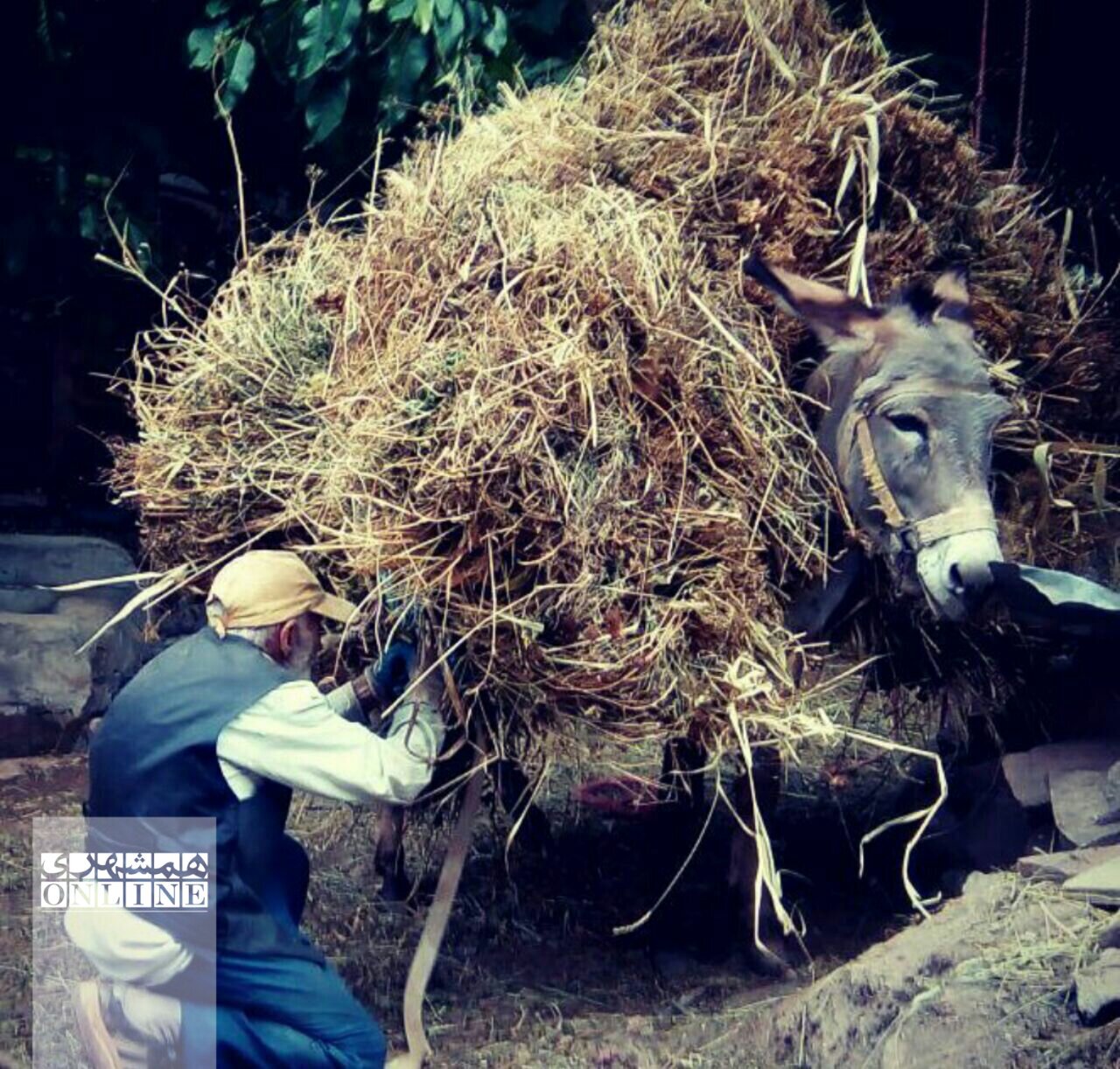 روستای مهران