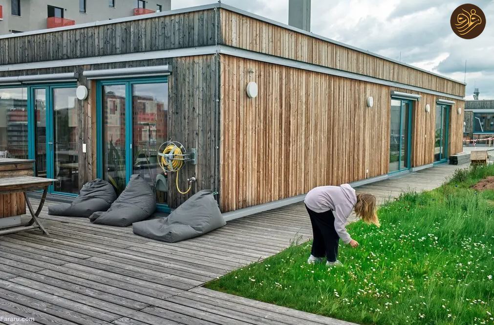 این نقطه از جهان، آرمانشهر مستاجران است/