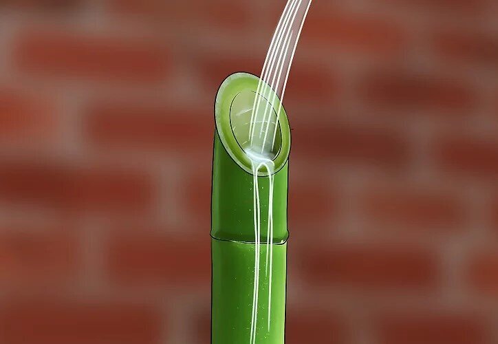 چگونه بامبو را قلمه بزنیم؟ / ۳ روش آسان برای تکثیر بامبو؛ گیاهی که نماد خوش‌یمنی است//