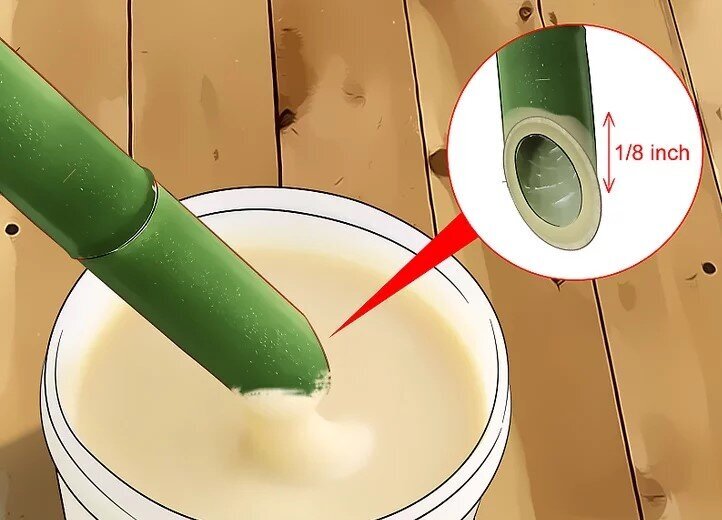 چگونه بامبو را قلمه بزنیم؟ / ۳ روش آسان برای تکثیر بامبو؛ گیاهی که نماد خوش‌یمنی است//