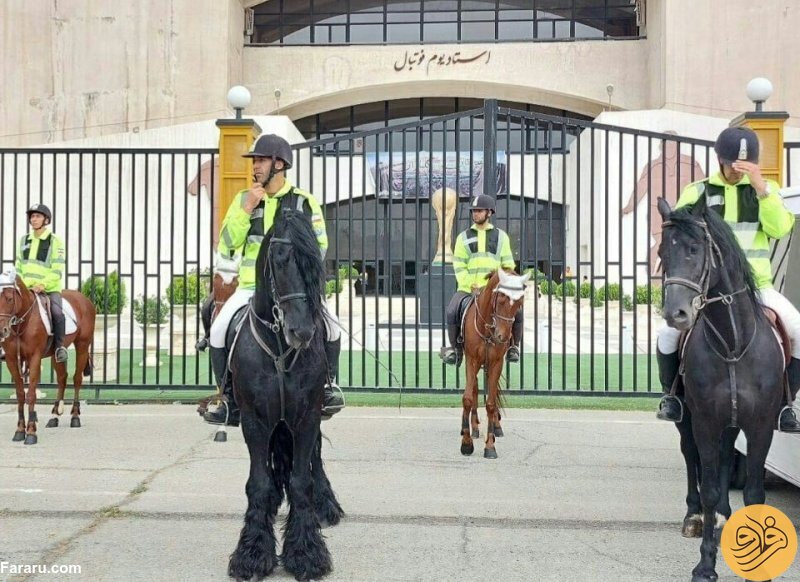 برقراری نظم در آزادی با پلیس اسب‌سوار