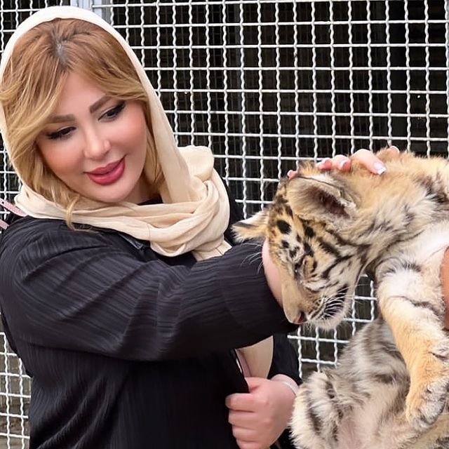 (تصویر) تفریح خطرناک نیوشا ضیغمی در قفس ببر!