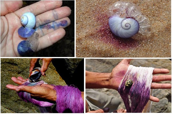 راز کشف یک رنگ متفاوت؛ چرا در پرچم هیچ کشوری رنگ بنفش وجود ندارد؟