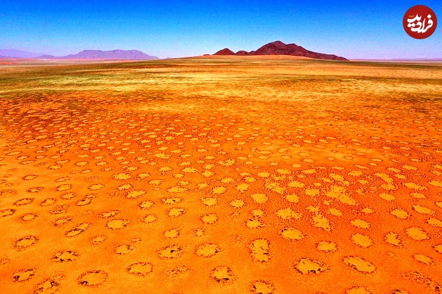 (تصاویر) رمز و راز «حلقه‌های ارواح» در صحرا‌های جهان