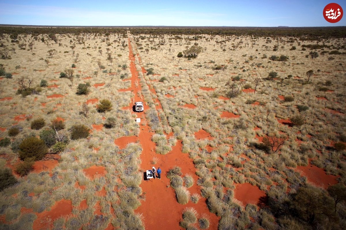 (تصاویر) رمز و راز «حلقه‌های ارواح» در صحرا‌های جهان