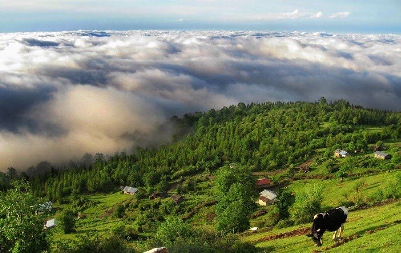 ۱۷ مکان شگفت‌انگیز در ایران که می‌توانید اقیانوس ابر ببینید/بازدید از دره‌هایی رویایی با پیاله‌های شیر!