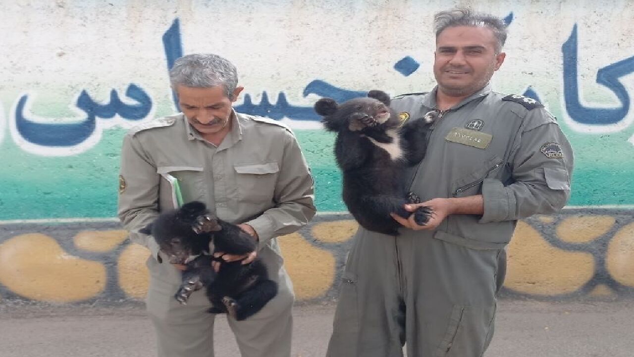 (عکس)