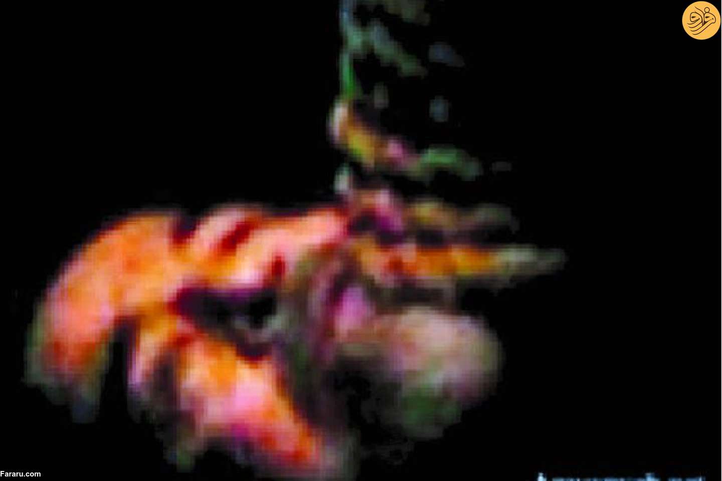 تصویری نادر از صدام حسین لحظاتی قبل از اعدام