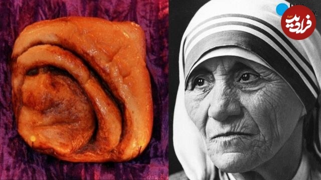 (تصاویر) چیز‌های عجیبی که شبیه چیز‌های عجیب دیگری به نظر می‌رسند!