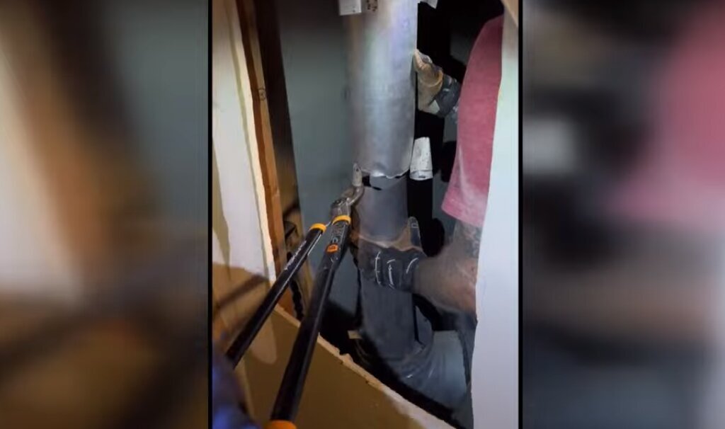 نجات یک بچه گربه از لوله شومینه