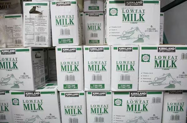 پنیر و شیر پرچرب یا کم چرب؟ کدام یک بهتر هستند