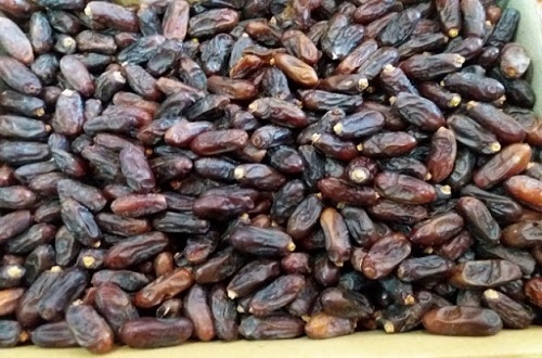 خرمای شاهانی