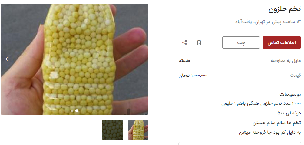 خرید و فروش عجیب در فضای مجازی / ۵ تا جوجه حلزون نیم میلیون!