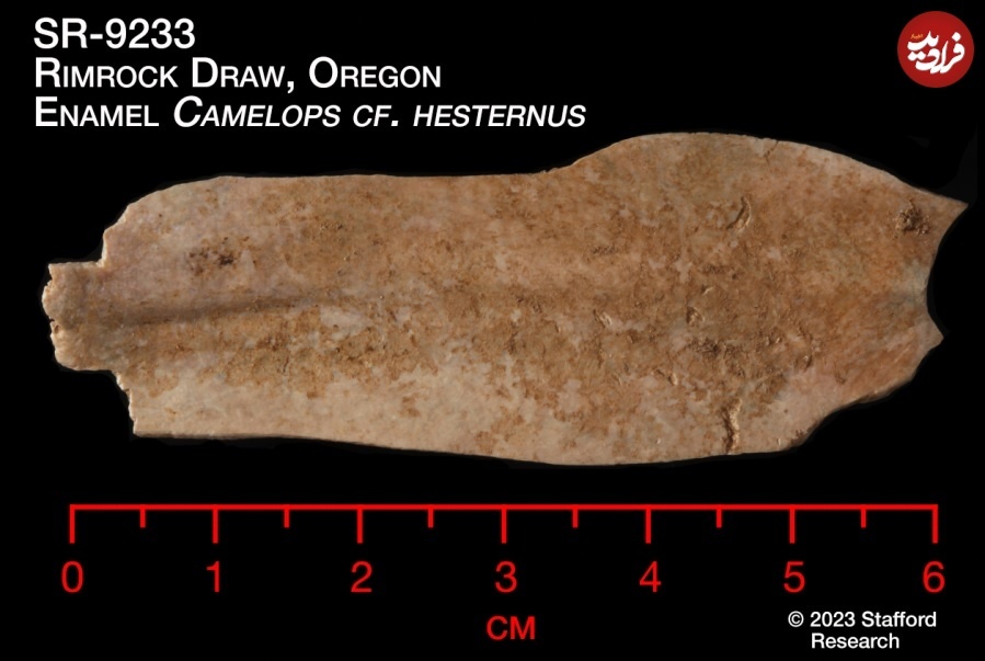 قدیمی‌ترین «خانۀ انسان» در آمریکا کشف شد