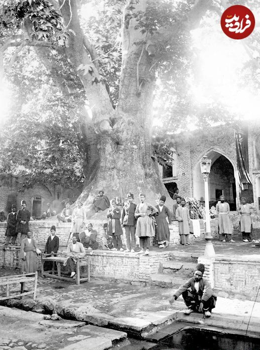 تصویری جالب از چنار معروف امامزاده صالح در تهران؛ یک قرن قبل/