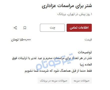 شتر هم کرایه‌ای شد / روزی ۲ میلیون!