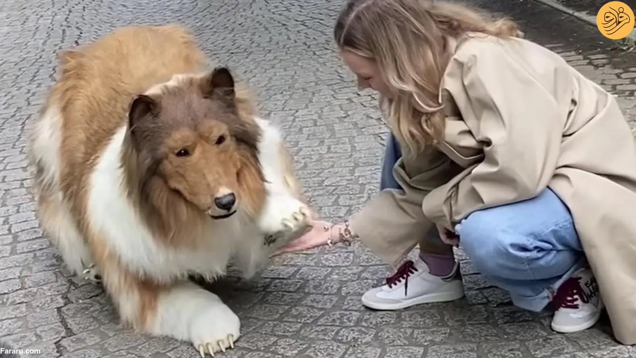 (عکس)