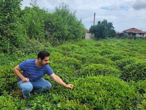 (عکس) ۵ تجربه متفاوت در سفرِ شمال