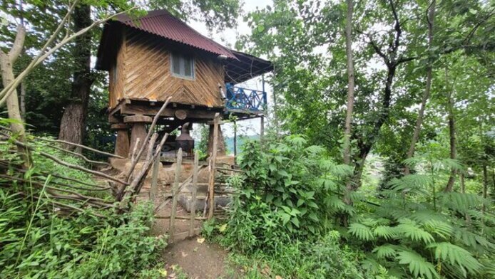 (عکس) ۵ تجربه متفاوت در سفرِ شمال