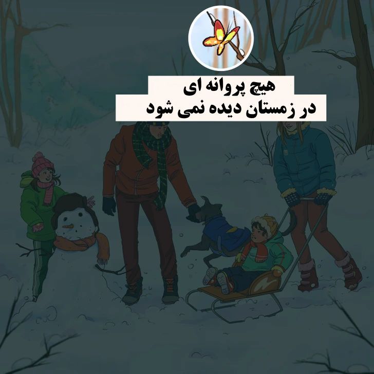۱۲ معمای تصویری که می‌تواند تفکر انتقادی شما را به چالش بکشد