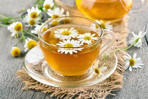 چای می‌نوشی؟ خواص چای‌های گیاهی رو می‌دونی؟