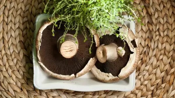 (تصاویر) ۱۰ جایگزین شگفت انگیز برای نان