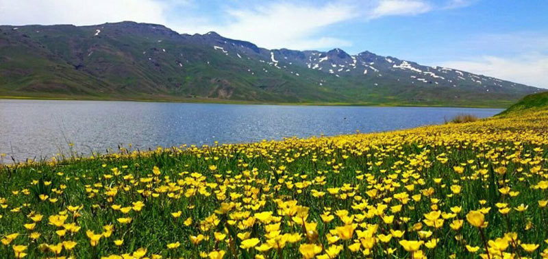 دریاچه نئور؛ شگفتی طبیعت در اردبیل