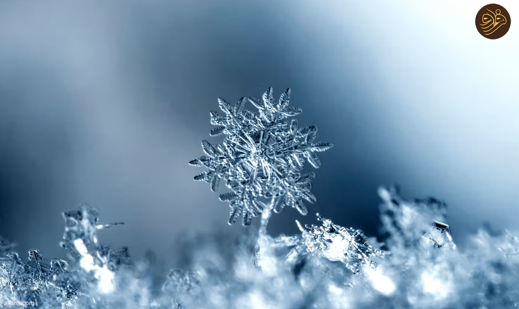 درمان طبیعت: چگونه گذراندن زمان در فضای باز حافظه، تخیل و منطق ما را دگرگون می کند/ بدون تعامل با محیط های طبیعی مغزمان به خوبی کار نمی کند/ لزوم قرار گرفتن در طبیعت یک امر لاکچری نیست بلکه یک ضرورت است درمان طبیعت: چگونه گذراندن زمان در فضای باز حافظه، تخیل و منطق ما را دگرگون می کند/ بدون تعامل با محیط های طبیعی مغزمان به خوبی کار نمی کند/ لزوم قرار گرفتن در طبیعت یک امر لاکچری نیست بلکه یک ضرورت است