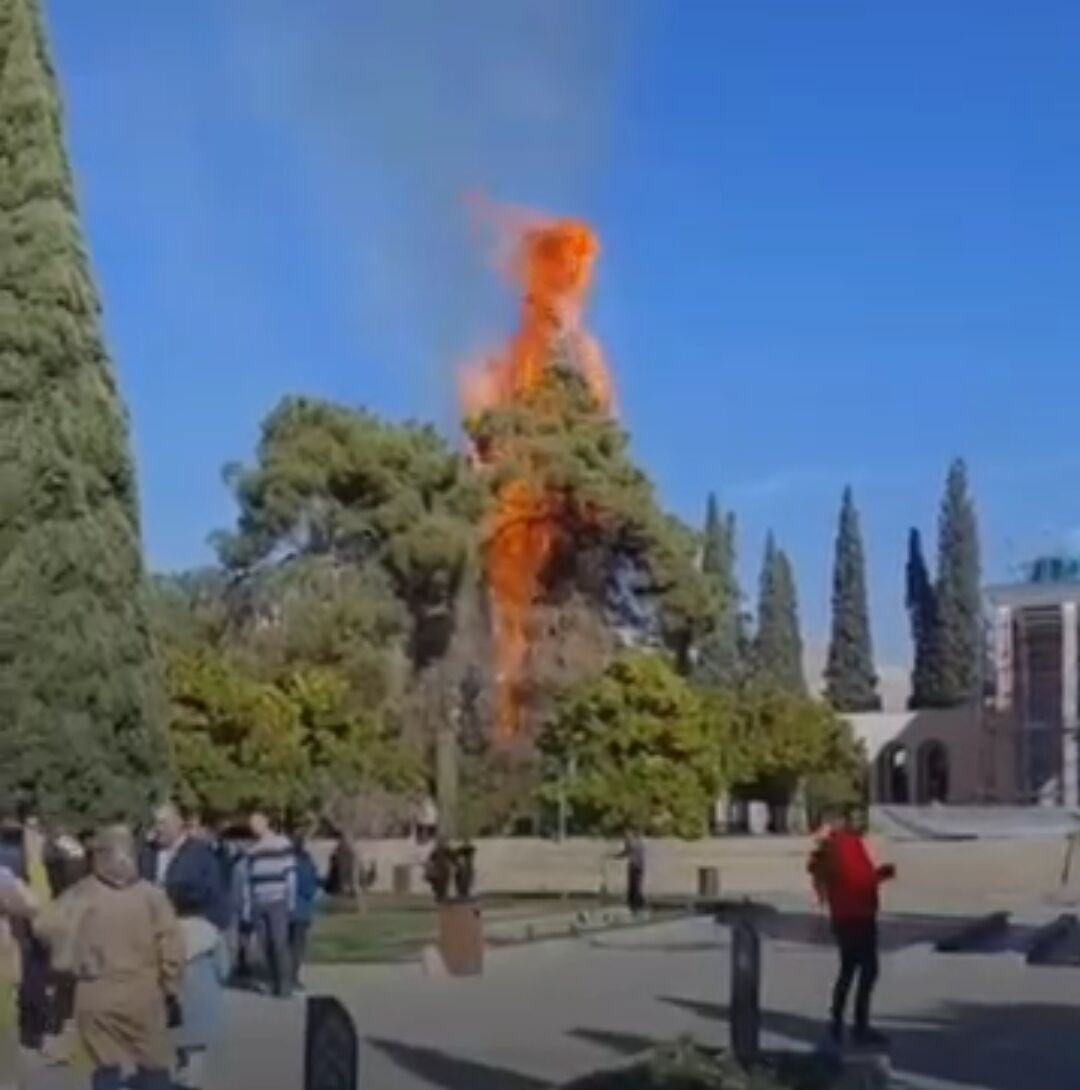 آتش سوزی در آرامگاه سعدی