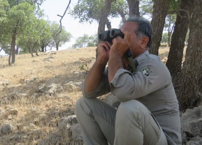زیبای خفته در محاصره قانون‌شکنان