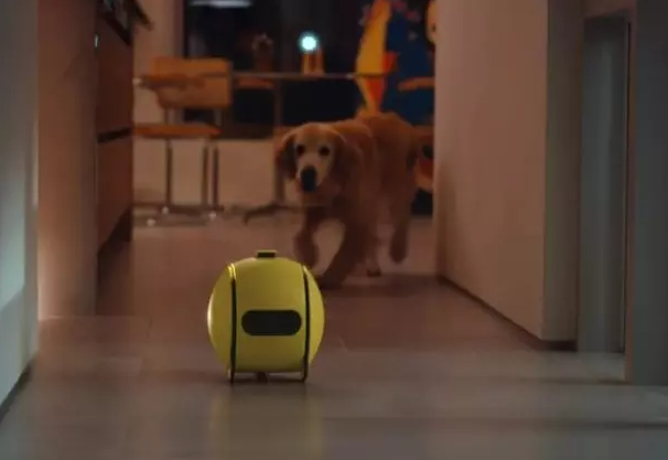 (تصویر) با «سگ نگهبان»‌ سامسونگ آشنا شوید