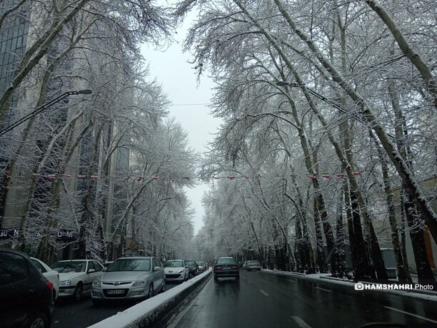 زیبایی خیابان ولیعصر تهران با درختان پر از برف