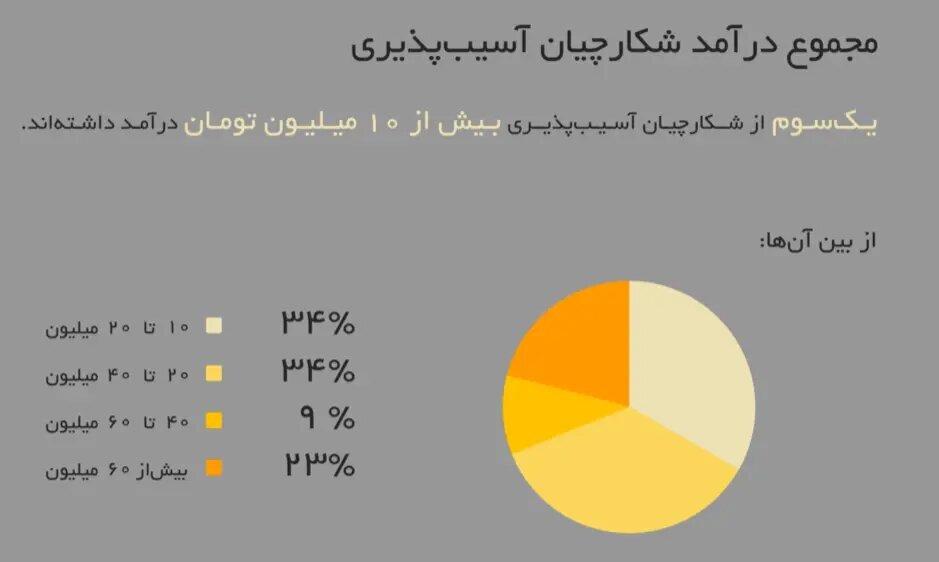 چند درصد هکر‌های کلاه سفید ایرانی زن هستند؟ / درآمد چشمگیر هکر‌ها