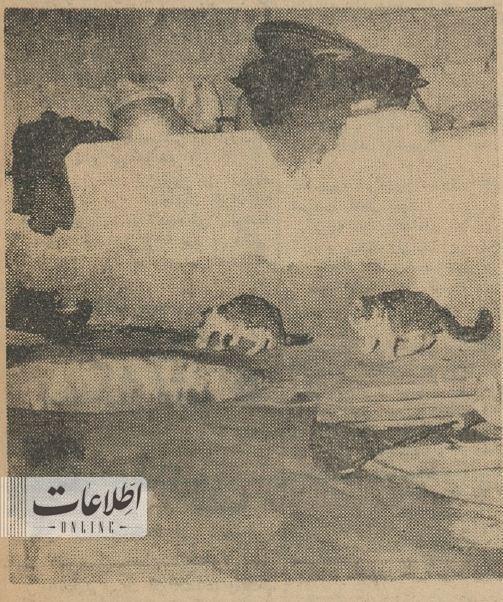 (عکس) اولین بسته‌بندی سیراب و شیردان بهداشتی در تهران ۶۰ سال پیش