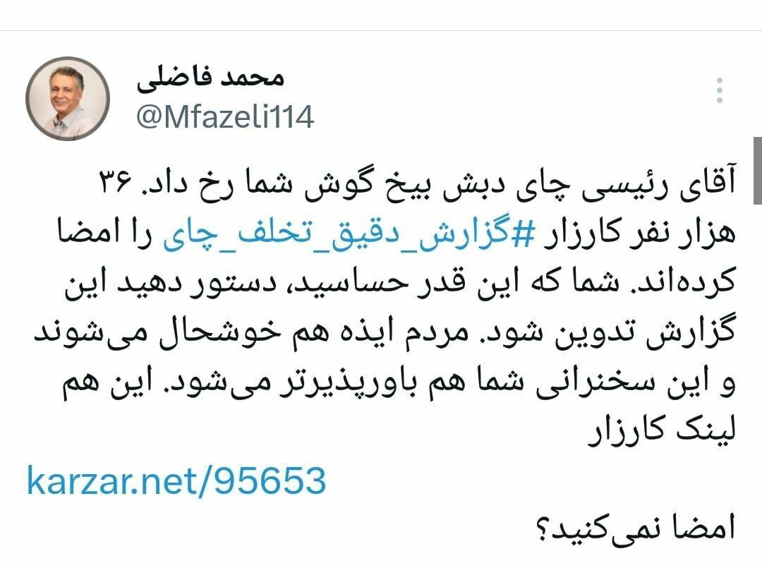 فاضلی، جامعه شناس