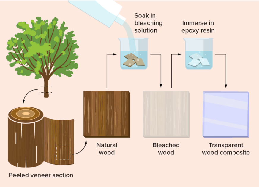 چرا دانشمندان چوب شفاف می‌سازند؟؛ قوی‌تر از پلاستیک و محکم‌تر از شیشه