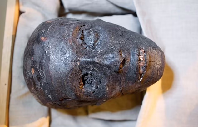 راز «نفرین توت عنخ آمون» که بیش از ۲۰ نفر را کشت سرانجام فاش شد