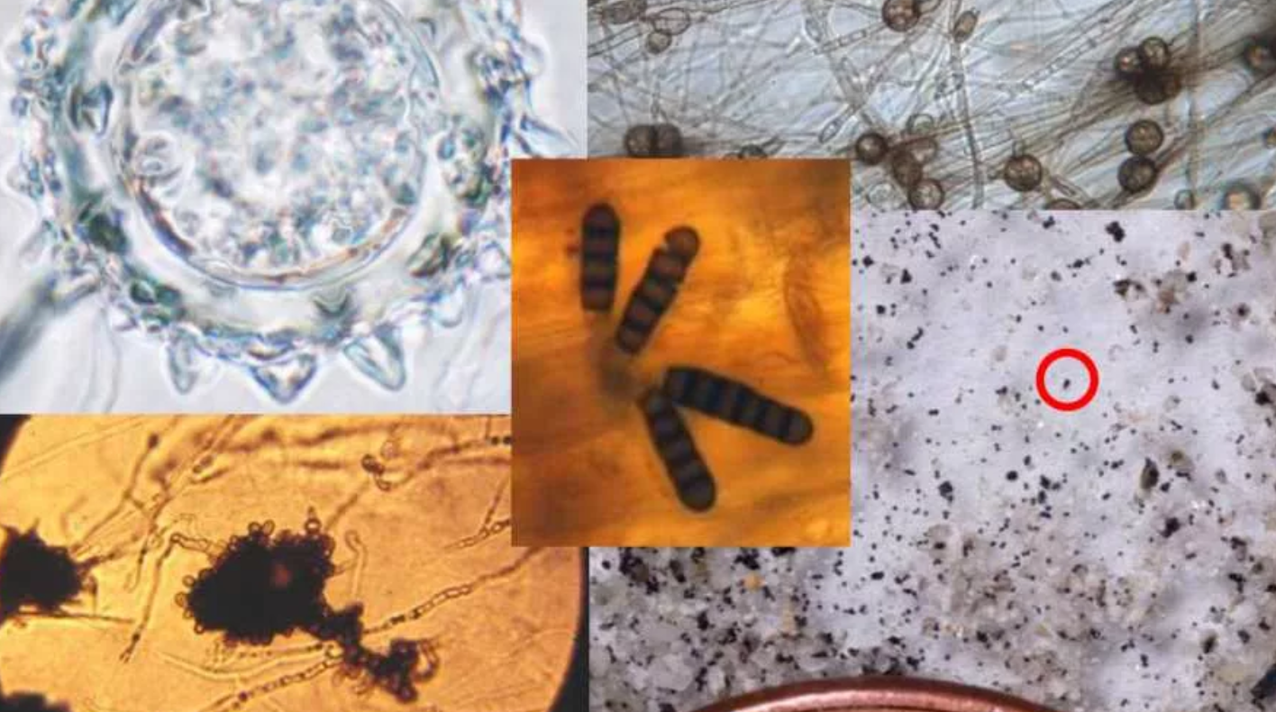 ده نشانه بحث‌برانگیز از وجود حیات فرازمینی